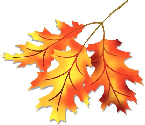100,000+ Free Clipart Leaves & Clipart Images .